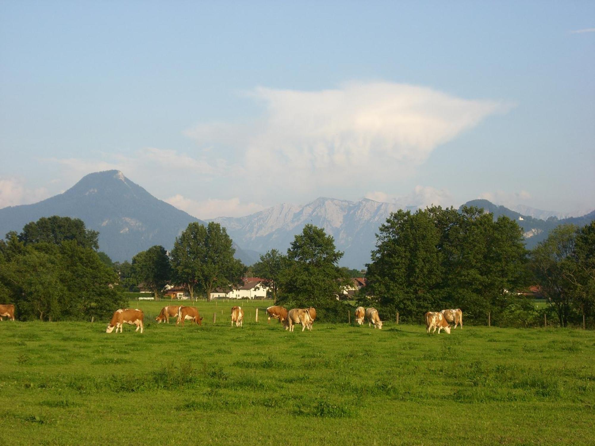 Gasthaus Kellerer Raubling Εξωτερικό φωτογραφία